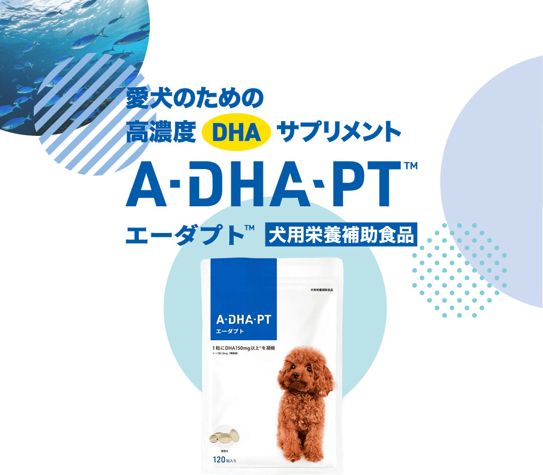 愛犬のための高濃度DHAサプリメントA-DHA-PT エーダプト 犬用栄養補助食品
