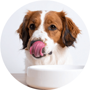 安心の国産技術＆国内製造！​