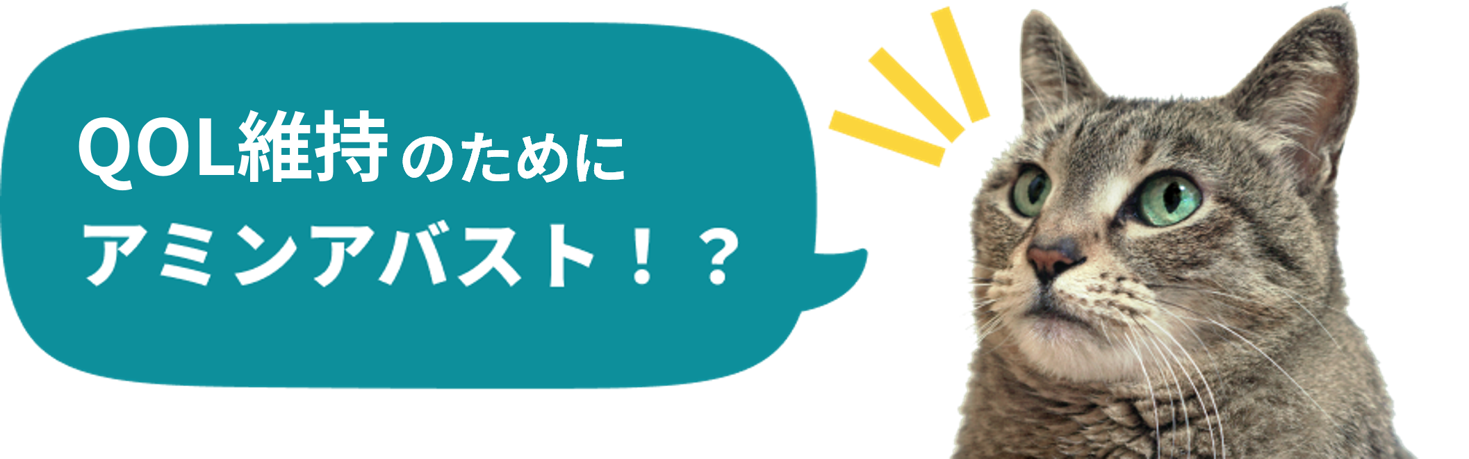 アミンアバスト | 腎臓の健康をサポートする特許成分のアミノ酸