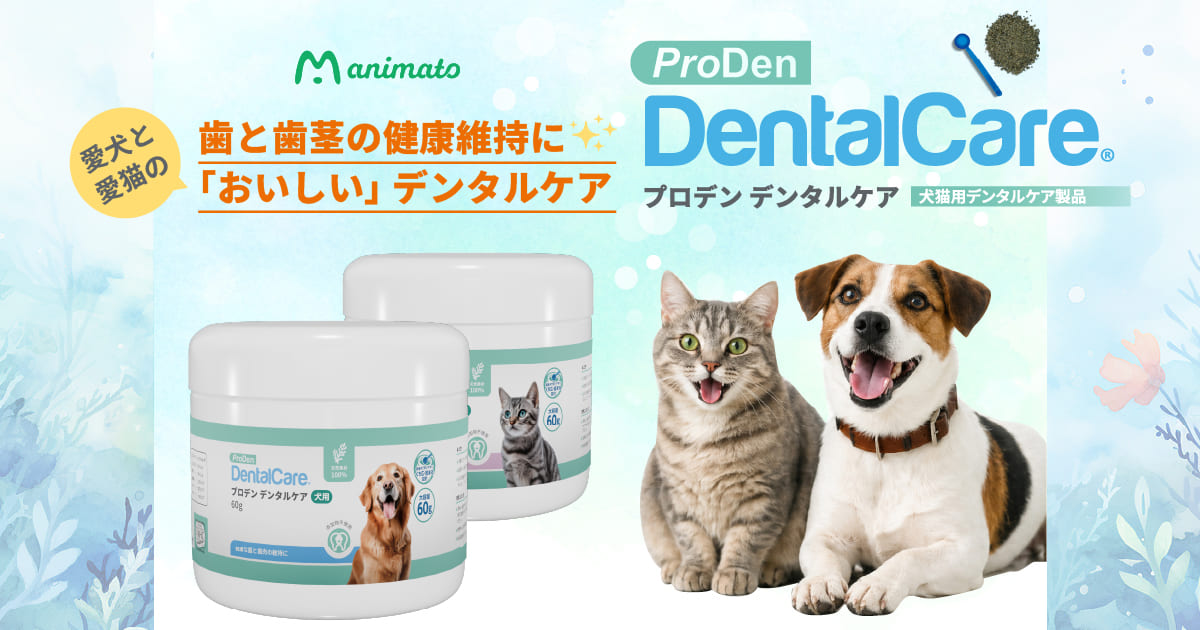 犬猫の歯と歯茎の健康維持に｜プロデン デンタルケア【公式