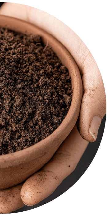 クレイ（粘土）