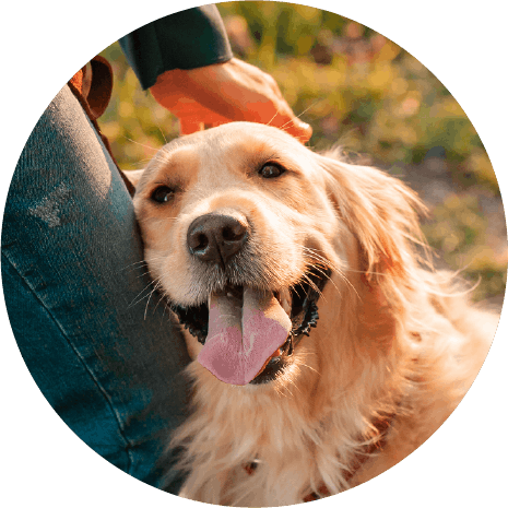 重金属や不純物は除去済み！