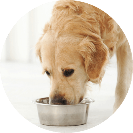 身体に吸収されない!