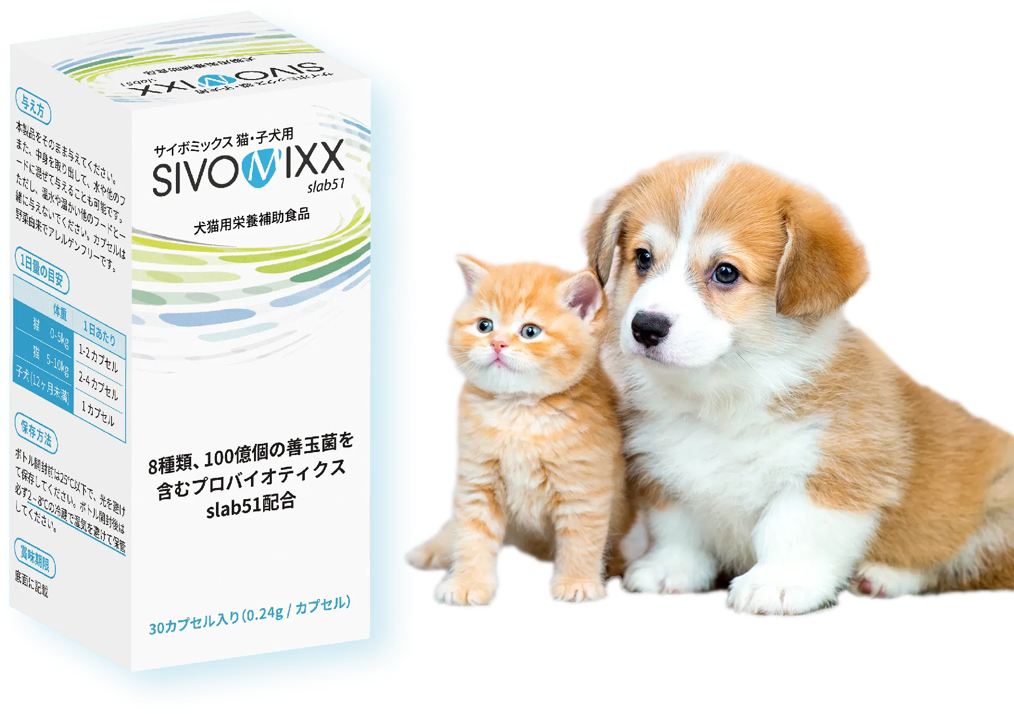 サイボミックス